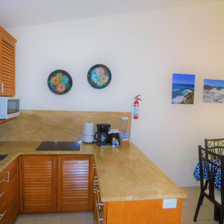 Nautibeach Beach Front Condos in North Beach - Apartment with Garden View - 5