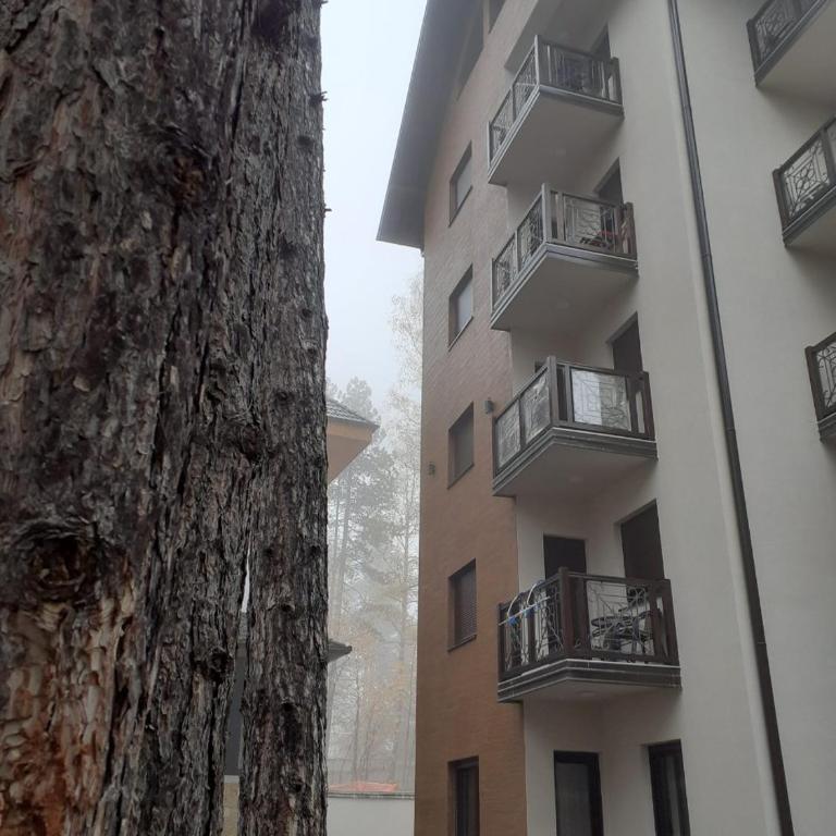 Apartman zlatibor - One-Bedroom Apartment - 22