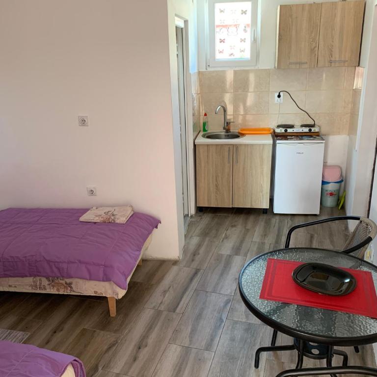Saša Apartments - Apartman sa 1 Spavaćom Sobom - 38