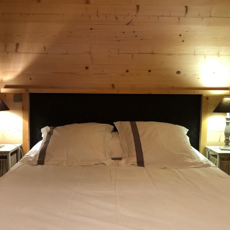 Chalet la Tovasse - Appartement - Vue sur Jardin - 2
