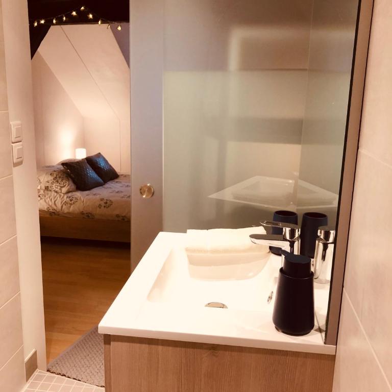 Le petit Colmarien hyper-centre - Appartamento con 1 Camera da Letto - 9