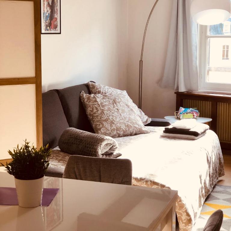 Le petit Colmarien hyper-centre - Appartamento con 1 Camera da Letto - 3