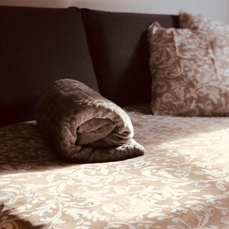 Le petit Colmarien hyper-centre - Appartamento con 1 Camera da Letto - 4
