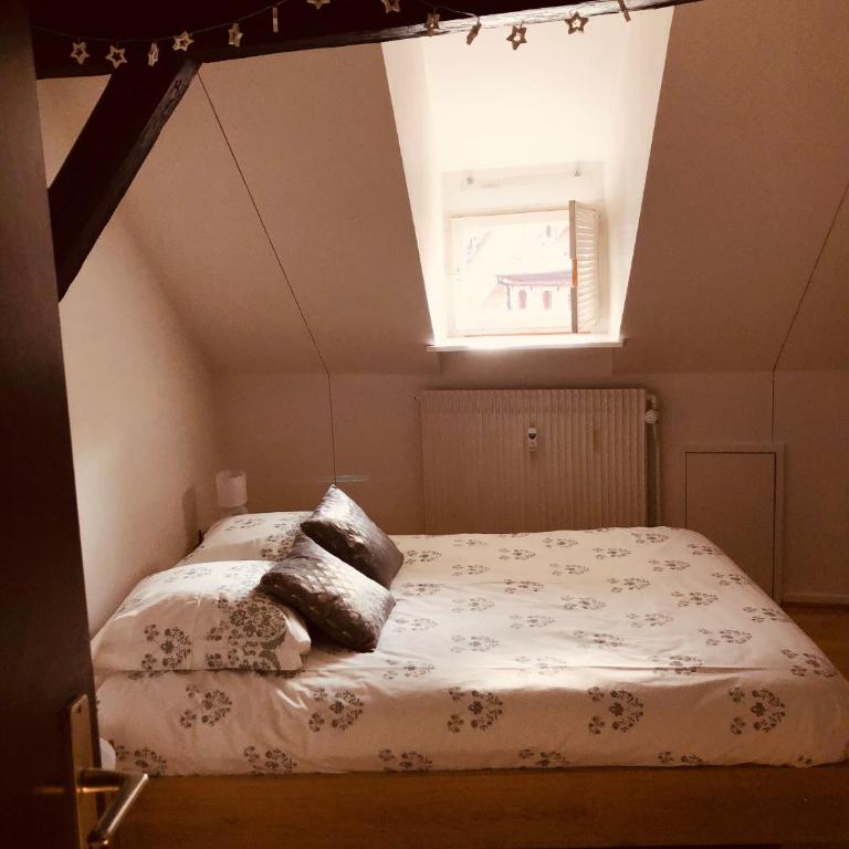 Le petit Colmarien hyper-centre - Appartamento con 1 Camera da Letto - 8