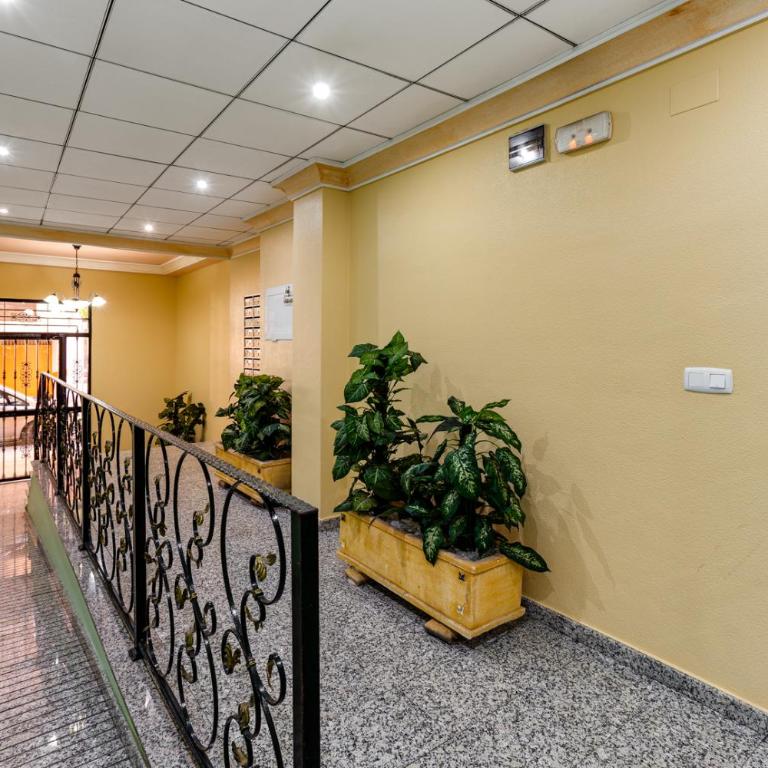 Apartaments Amalia on the beach - Apartamento de 2 dormitorios - 18
