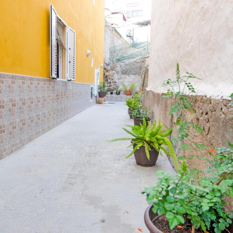 Casa Piedra Picuda 1 - Apartamento - 17