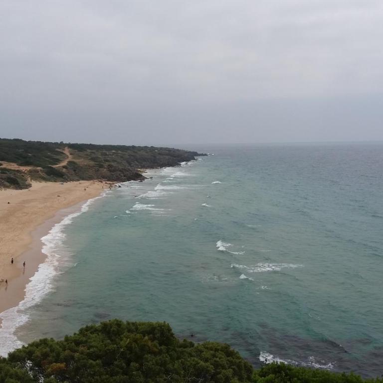 Zahara de los Atunes - Apartamento de 1 dormitorio - 37