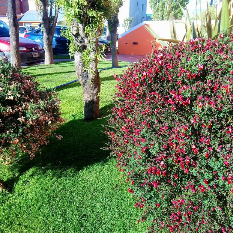 El Buen Descanso - Apartamento - 2 niveles - 40