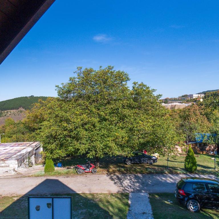 Brvnare Cirkovic - One-Bedroom Chalet - 11