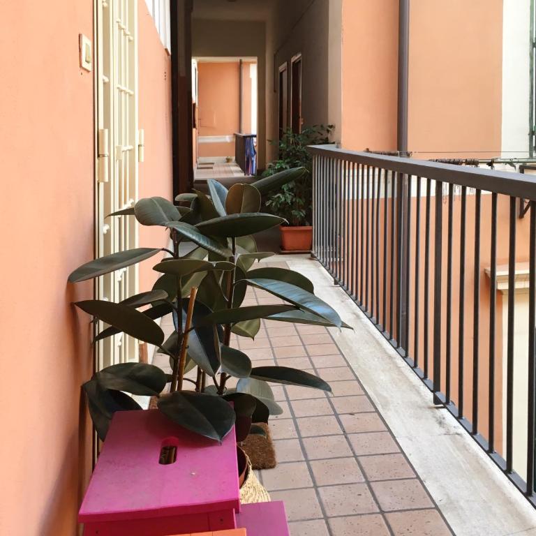 Gli Alberi a Testaccio - Appartamento - 13