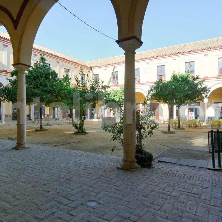 Loft24Sanlúcar - Loft - 36