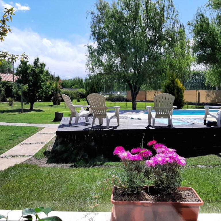 CAYE Guest House - Apartamento de 1 dormitorio - 16