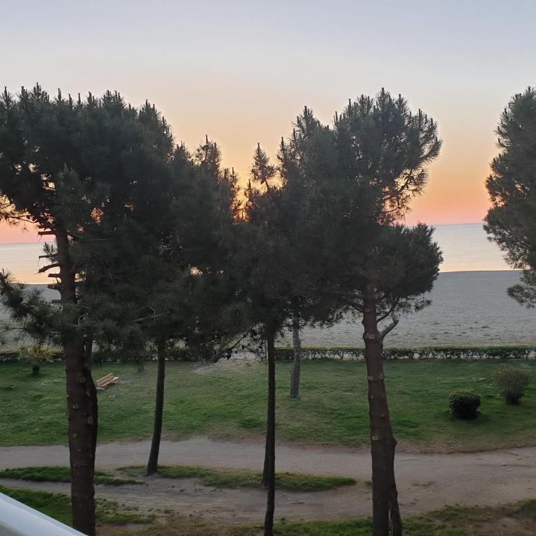 LE BELVEDERE 1- Front de Mer - Plage Argelès- Clim - Apartamento frente al mar - 11