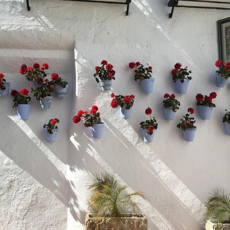 Sweet Torremolinos Centro - One-Bedroom Apartment - 34