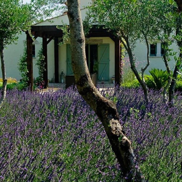 La Lavande - Villa avec Piscine Privée - 9