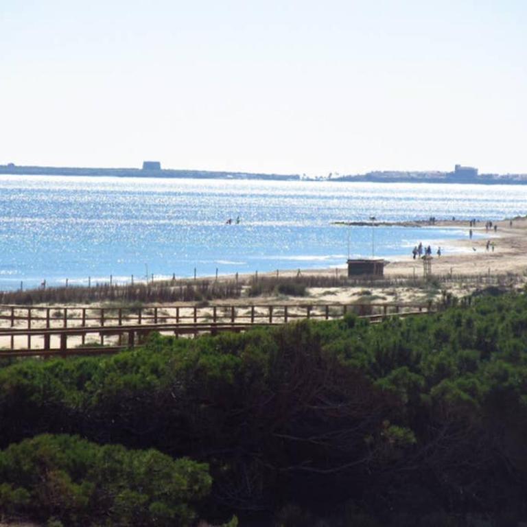 Apartamento familiar con vistas al mar - Apartamento de 2 dormitorios - 27
