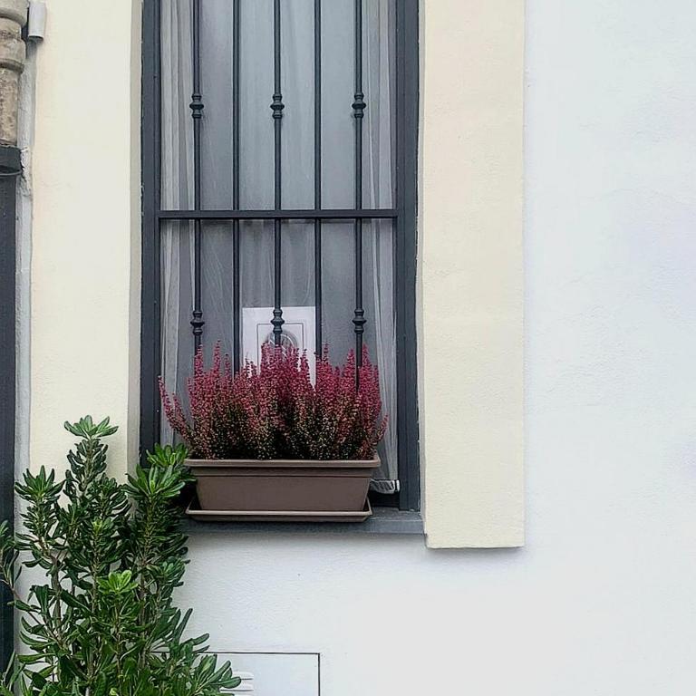 CATANIA CENTRAL DELUXE HOUSE - One-Bedroom House - 40
