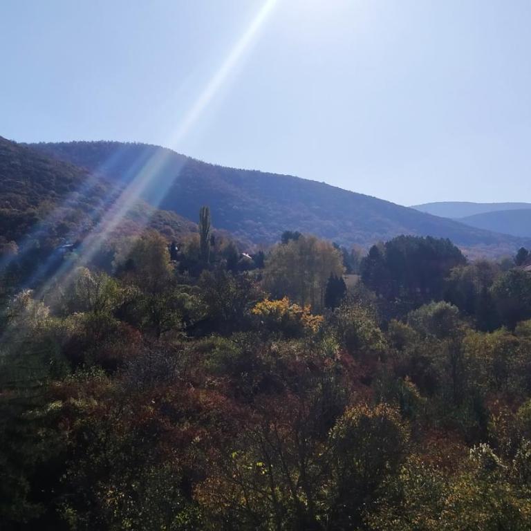 Sky Apartman - Apartman sa 1 Spavaćom Sobom - 49