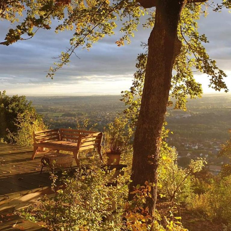 lodge-bélvédere sur les hauteurs de vichy - Studio - Vue sur Montagne - 8