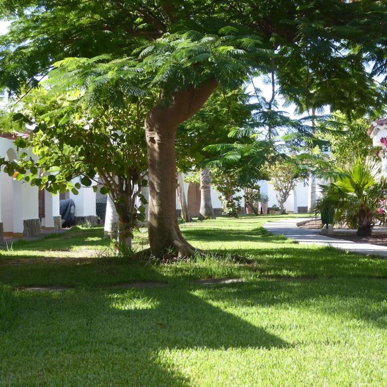 Parque Golf 6 - Apartamento de 1 dormitorio - 7