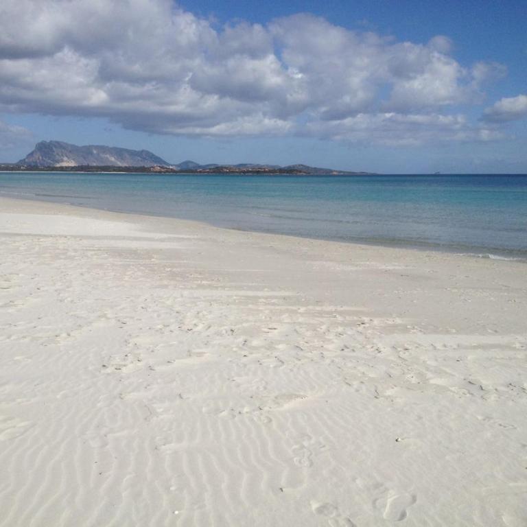 Appartamento Iris 300 mt spiaggia - Appartamento con 2 Camere da Letto - 17