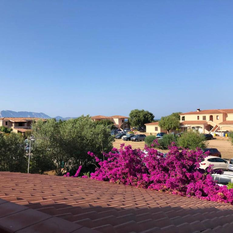 Appartamento Iris 300 mt spiaggia - Appartamento con 2 Camere da Letto - 5