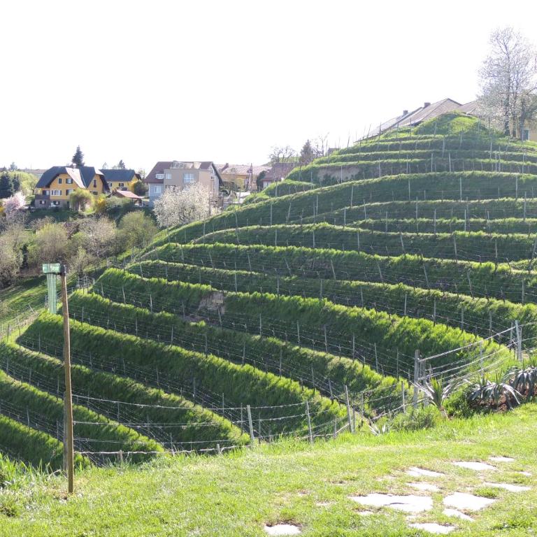 Weingut Albert, Familie Cramer - Apartment - 8