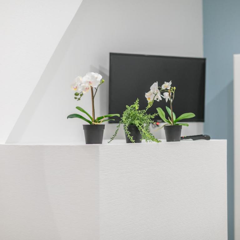 WS Marais - Musée Pompidou - Three-Bedroom Apartment - 18