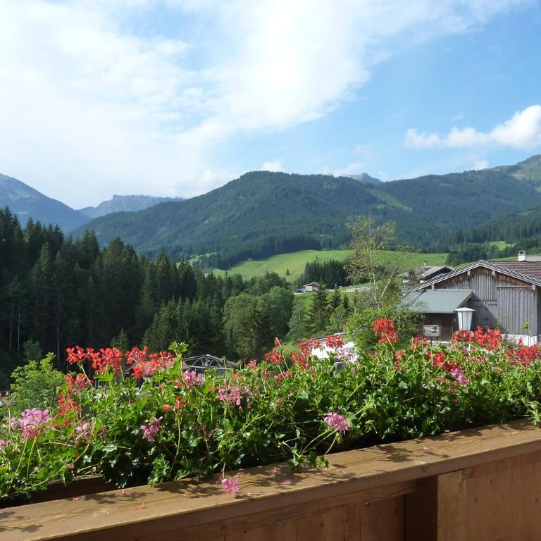 Tratlhof - Apartment mit Balkon - 2