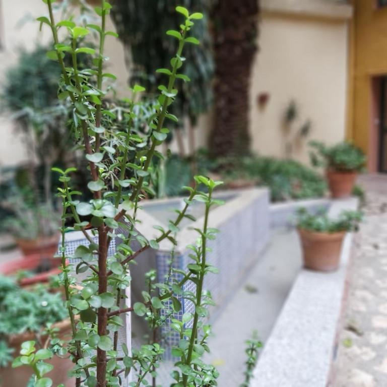 Del parque flats estudio martires - Studio with Sofa Bed - 14
