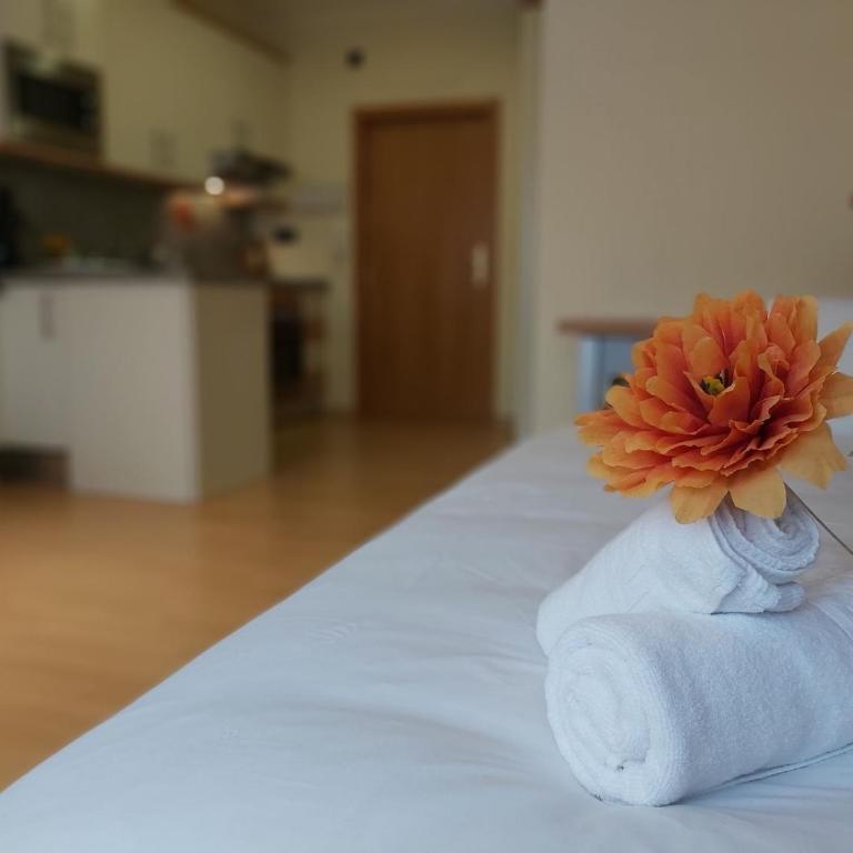 Del parque flats estudio martires - Studio with Sofa Bed - 5