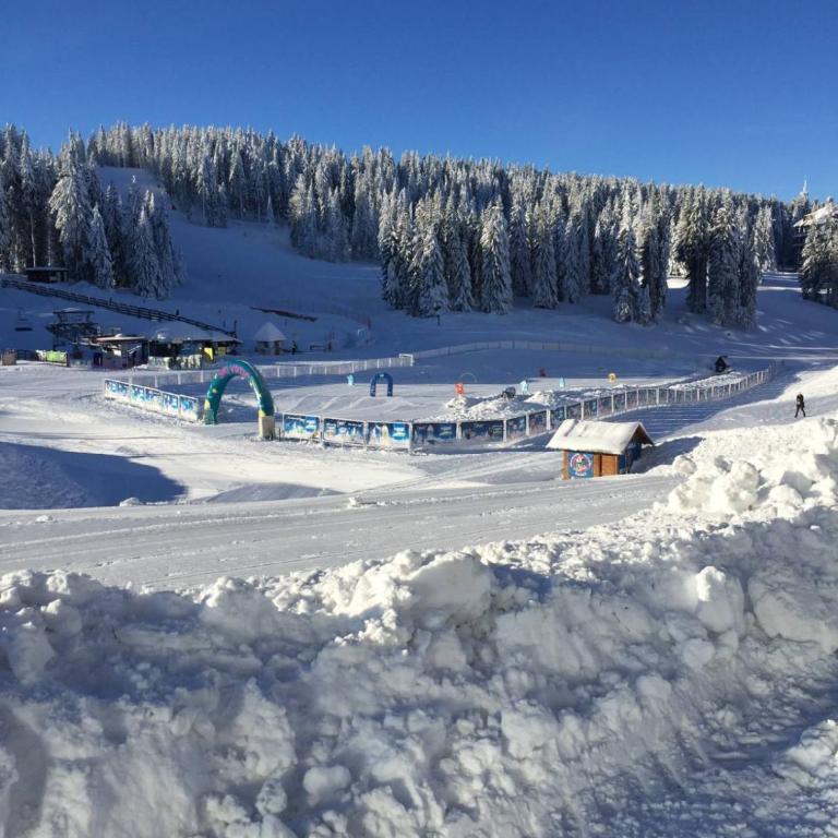 Vila Plan - Centar Kopaonik - Apartment - 19