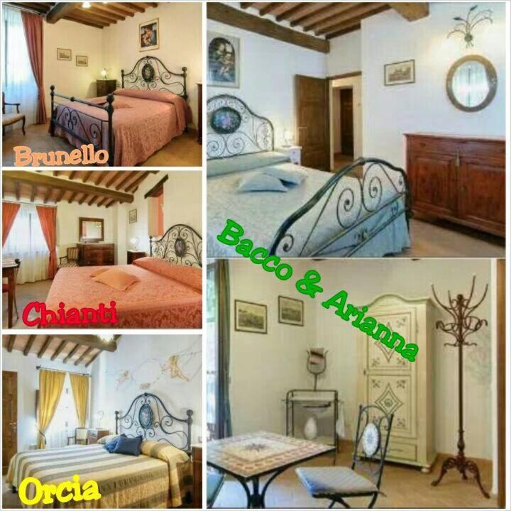 B&B Camere La Vite - Camera Matrimoniale - 13