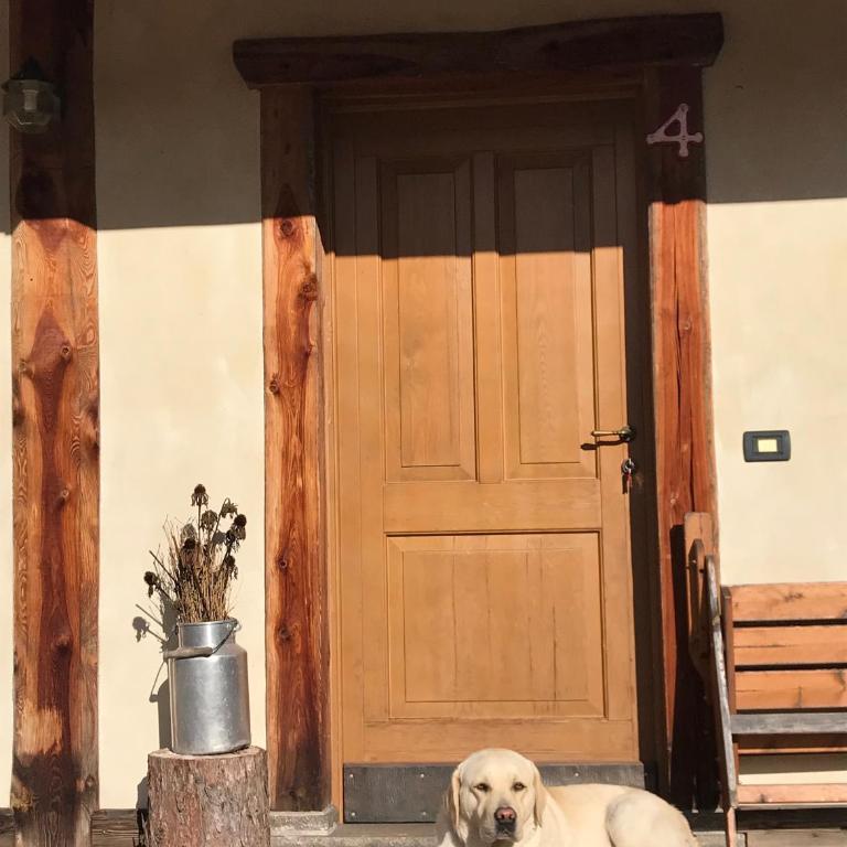 Agriturismo Maso Fumas - Appartamento con 1 Camera da Letto - 7