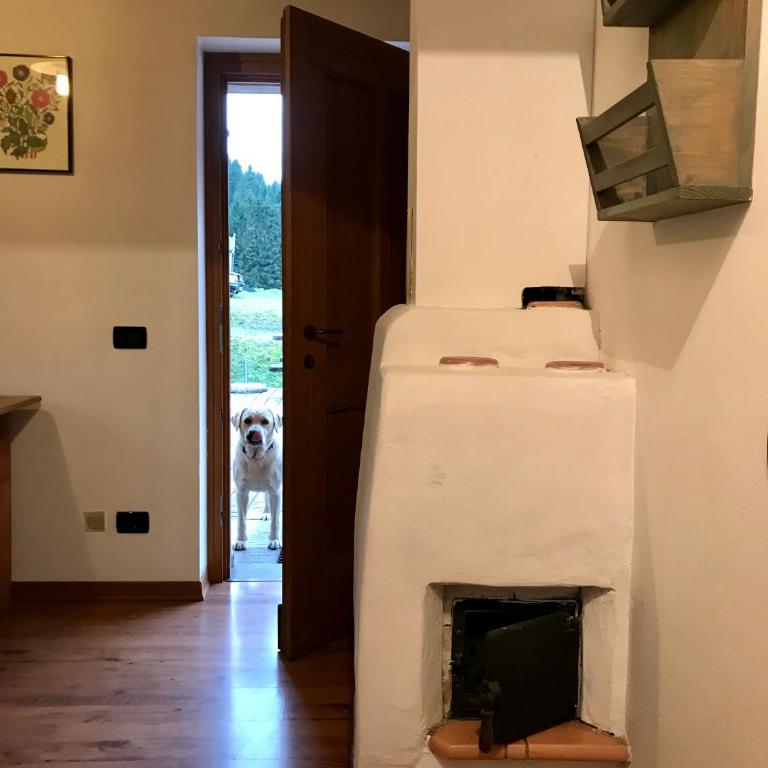 Agriturismo Maso Fumas - Appartamento con 1 Camera da Letto - 8