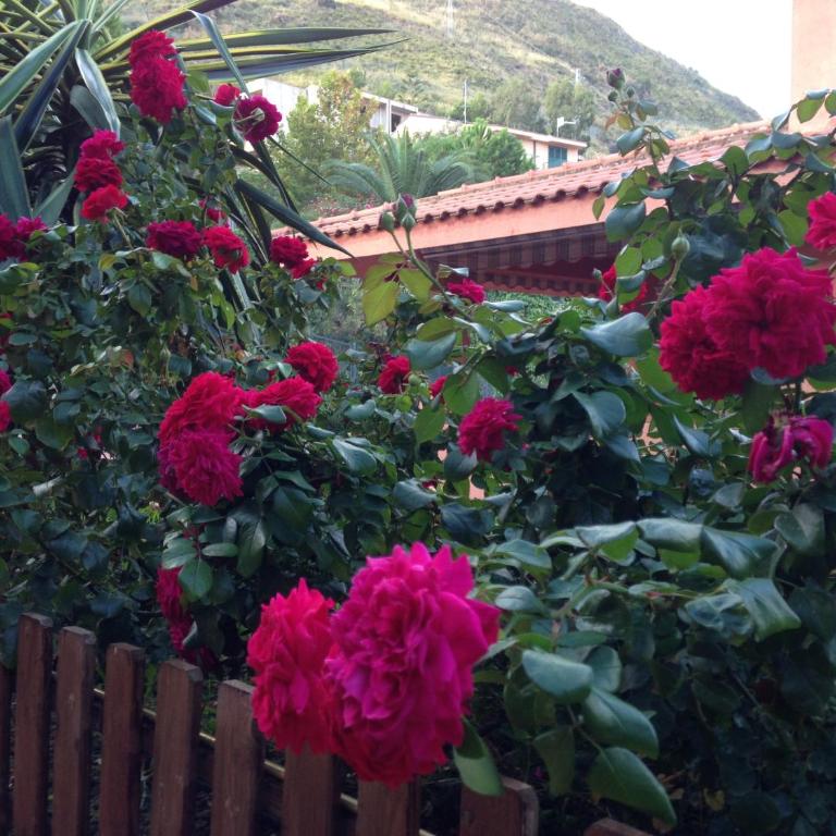 B&B Villa Di Giorgi - Superior Double Room with Terrace - 11