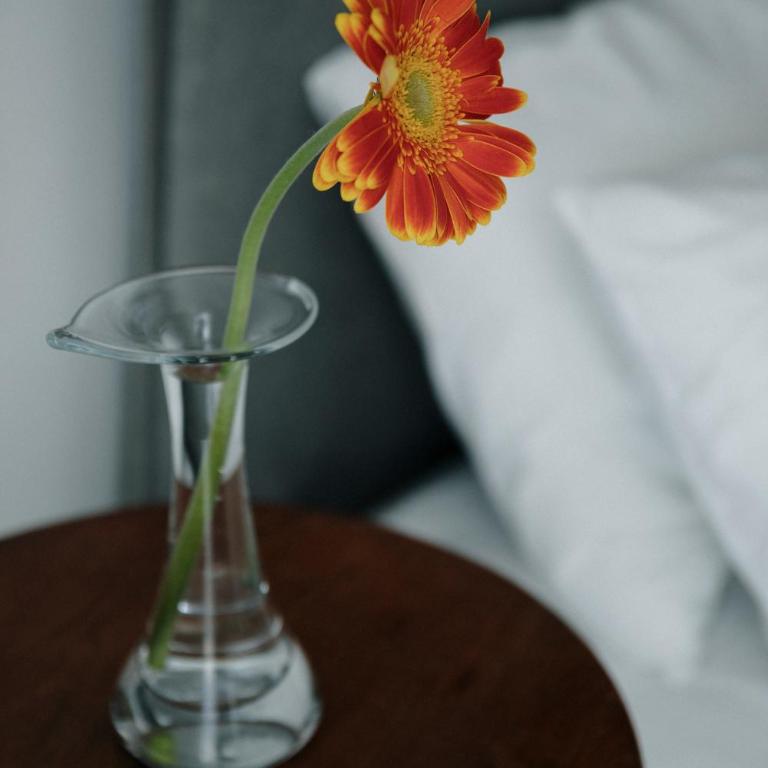 Blue way - Appartamento con 1 Camera da Letto - 14