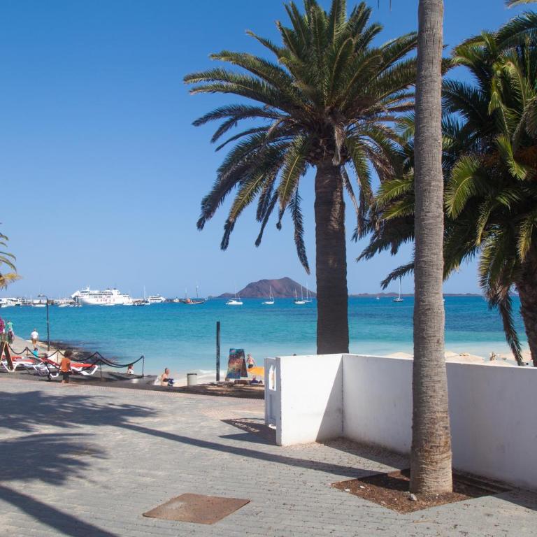Hoplaco by Best Holidays Fuerteventura - Apartamento de 1 dormitorio - 18