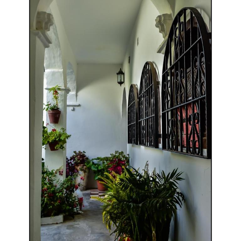 Casa del Mayorazgo con Plaza de Parking Privada - Apartamento de 1 dormitorio - 53