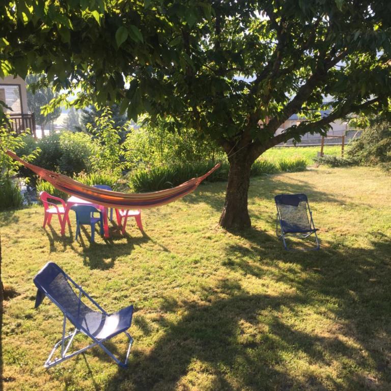Appartements La Durance et L'Helpe - Appartement - Rez-de-Chaussée - 12