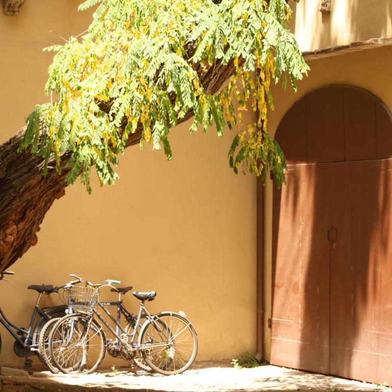 Acacia Firenze - Primula - Appartement 2 Chambres avec Terrasse - 7 Via dei Pepi - 34