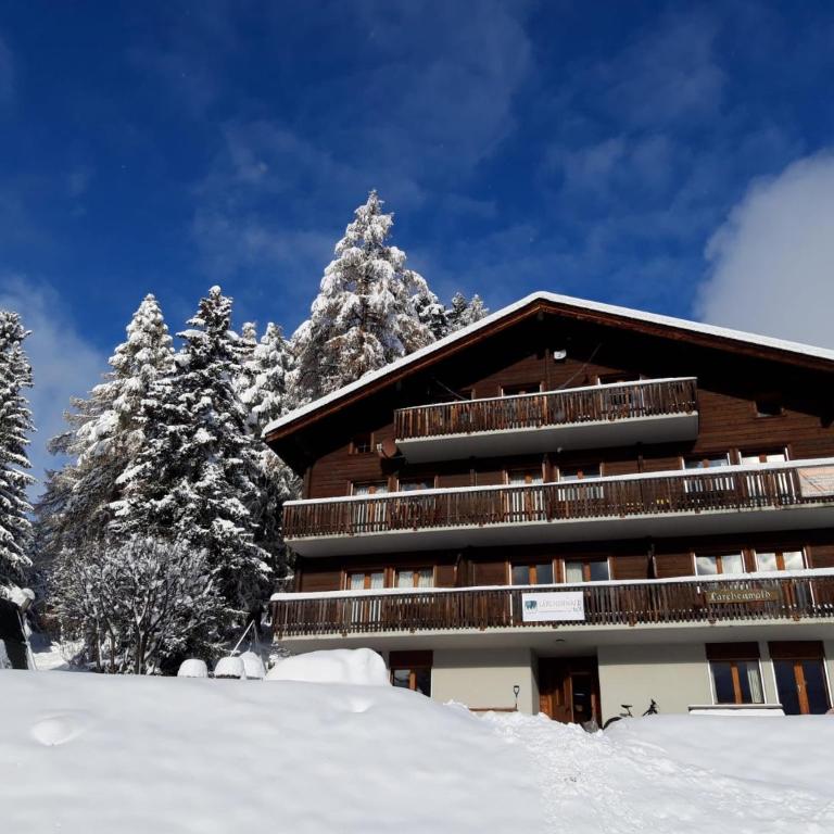 Lärchenwald Lodge - Apartment mit Balkon - 18