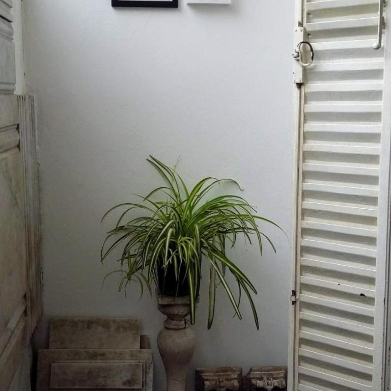 Nice Apart en Caballito. Visitá Buenos Aires - Apartamento - 10
