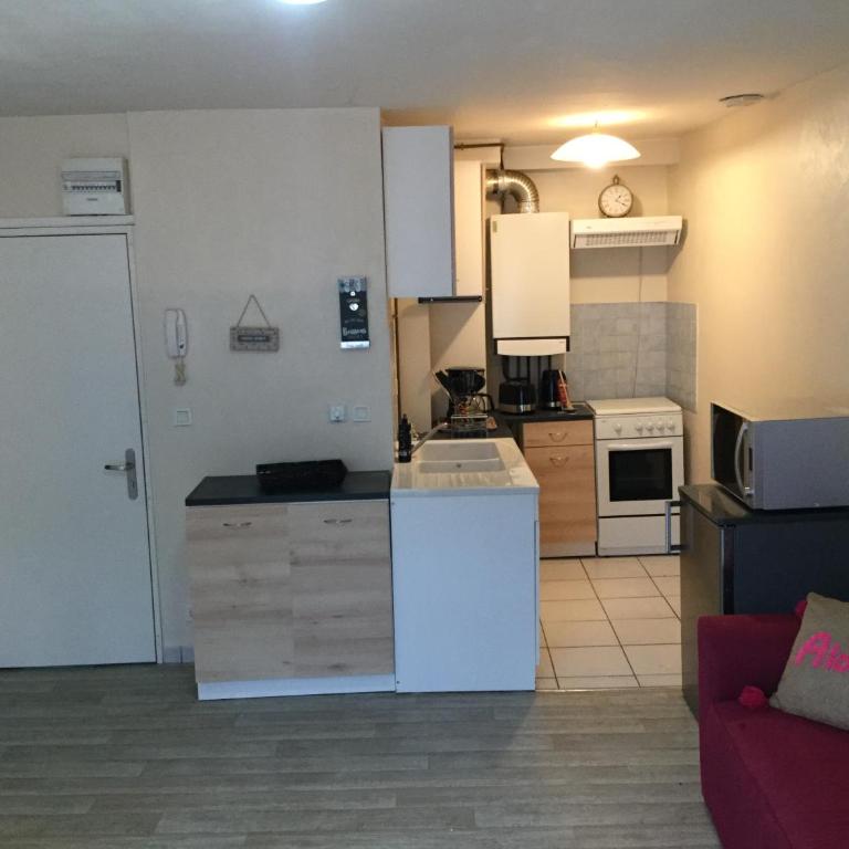 Le tapis vert - Appartement 1 Chambre - 8