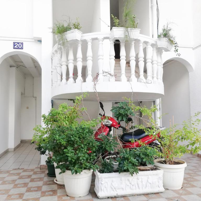 Apartment Azalea of Budva - Apartman sa 1 Spavaćom Sobom - 3