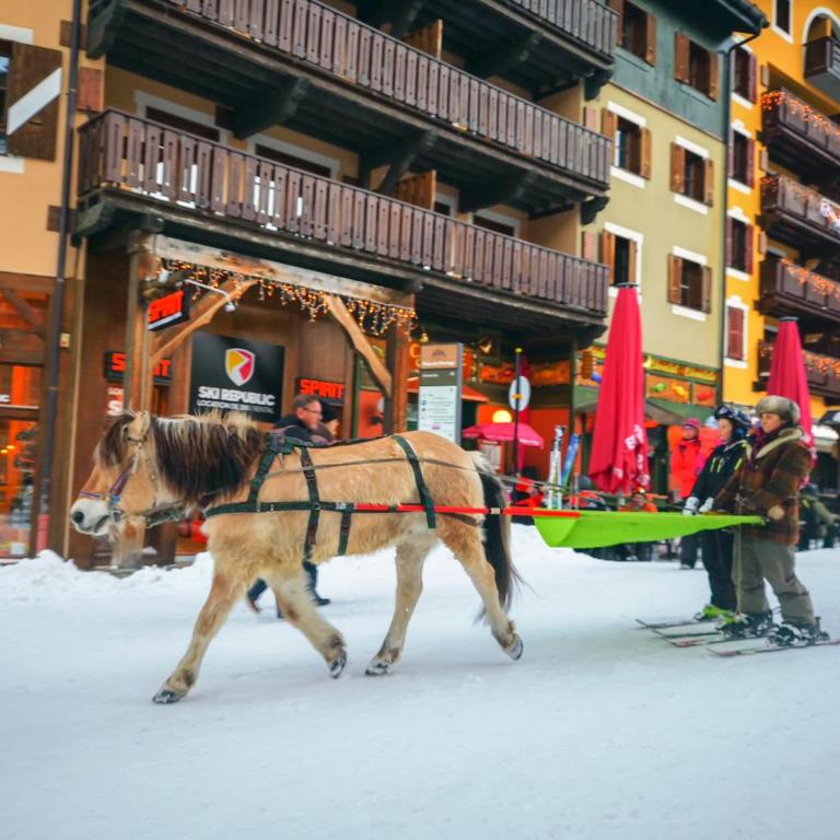 Huge Superior 4 Bedroom Apartment, Arc 1950, Les Arc, Spaciously Sleeps 8 to 10 over two floors, Ski In Ski Out - Apartment - 52