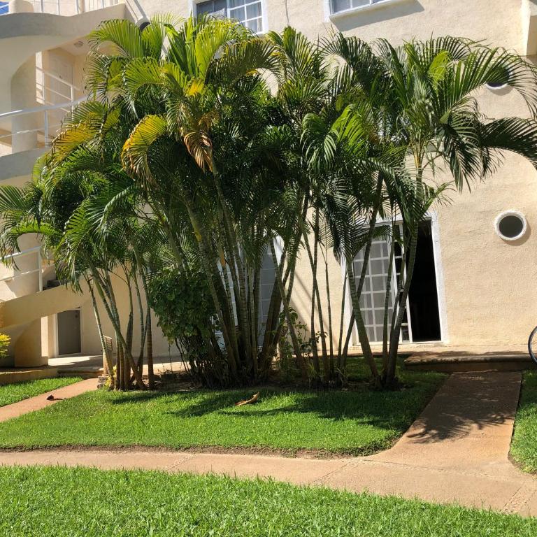 Renta de departamento en Acapulco Diamante - Apartamento de 2 dormitorios - 45