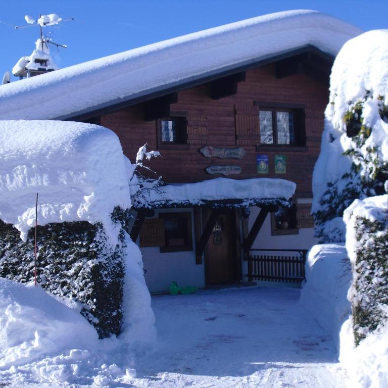 CHALET LA LICORNE 1 - pied des pistes - Chalet 1 Chambre - 29
