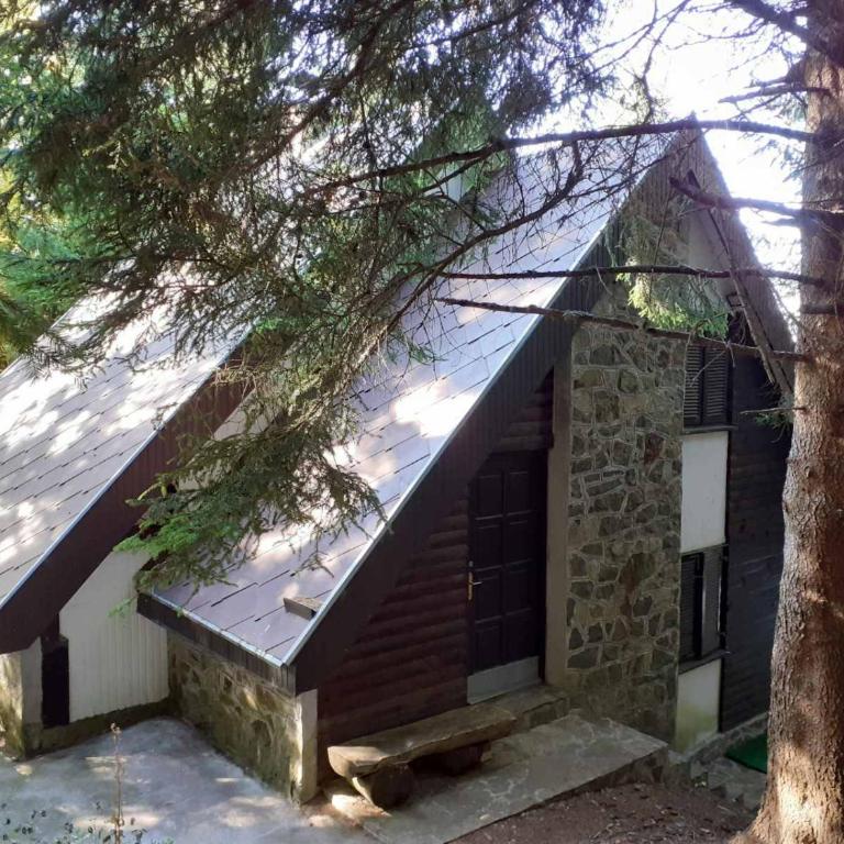 VILA PAVLOVIC - Vacation Home - 3