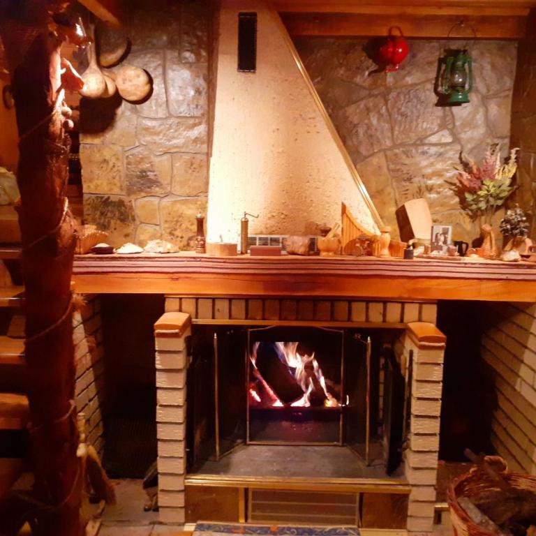 VILA PAVLOVIC - Vacation Home - 25